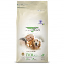 BonaCibo Adult Dog Lamb & Rice Hippoallergenic -15 kg sausā barība pieaugušiem suņiem ar jēru