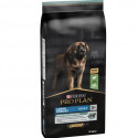 PRO PLAN Dog Adult Large Robust LAMB - 14 kg ar jēru  pieaugušiem suņiem ar masīvu ķermeņa uzbūvi un jutīgu gremošanu